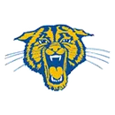 Somonauk High School logo