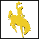 Custer County District logo
