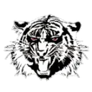 Moon Area High School logo