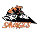 Salmon High School logo