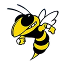 Hayesville High School logo