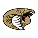 Hudson High School logo