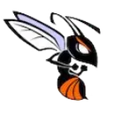 Hawthorne High School logo