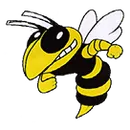 Miller Grove High School logo