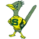 Saddleback High School logo