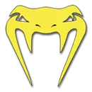Diamond Ranch Academy logo