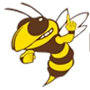 Pellston High School logo