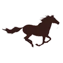 Sands High School logo