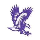 Downsville Central High School logo