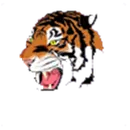 Northport Senior High School logo