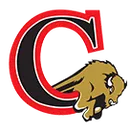 Clearfield Area High School logo
