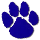 Southern Academy logo