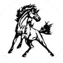 Allen East High School logo
