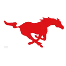 South Western High School logo