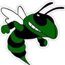 Singer High School logo