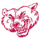 Ray High School logo