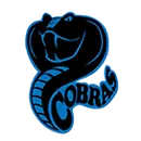 Council High School logo