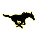 McCool Junction High School logo