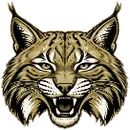 Wayne County High School logo