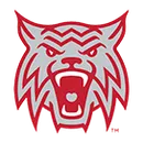 Woodrow Wilson Wildcats logo