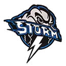 Sangamon Valley High School logo