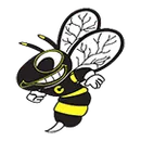 Cadott High School logo