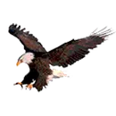 Vaughn High School logo