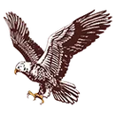 South Heart Eagles logo