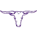Forsyth High School logo