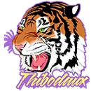 Thibodaux High School logo