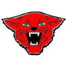 Cunningham High School logo