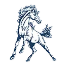 Doniphan West High School logo