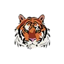 Fort Fairfield Middle/High School logo