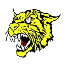 Diamond High School logo