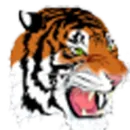 Elida High School logo