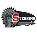 Stebbins High School logo