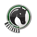 Currey Ingram Academy logo