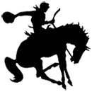 Big Pasture High School logo