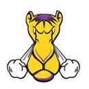 Campbell County High School logo