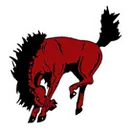 Sonora High School logo