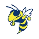 Mitchell High School logo