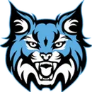 Sky View High School logo