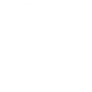 The Stony Brook School logo