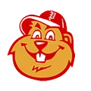 Punxsutawney Area High School logo