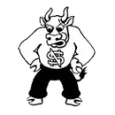New Salem-Almont High School logo