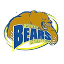 Ashley High School logo