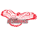 Liberty Senior High School logo