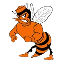 Laneville High School logo