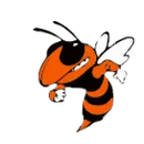 Strother High School logo