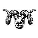 Turkeyfoot Valley Area High School logo